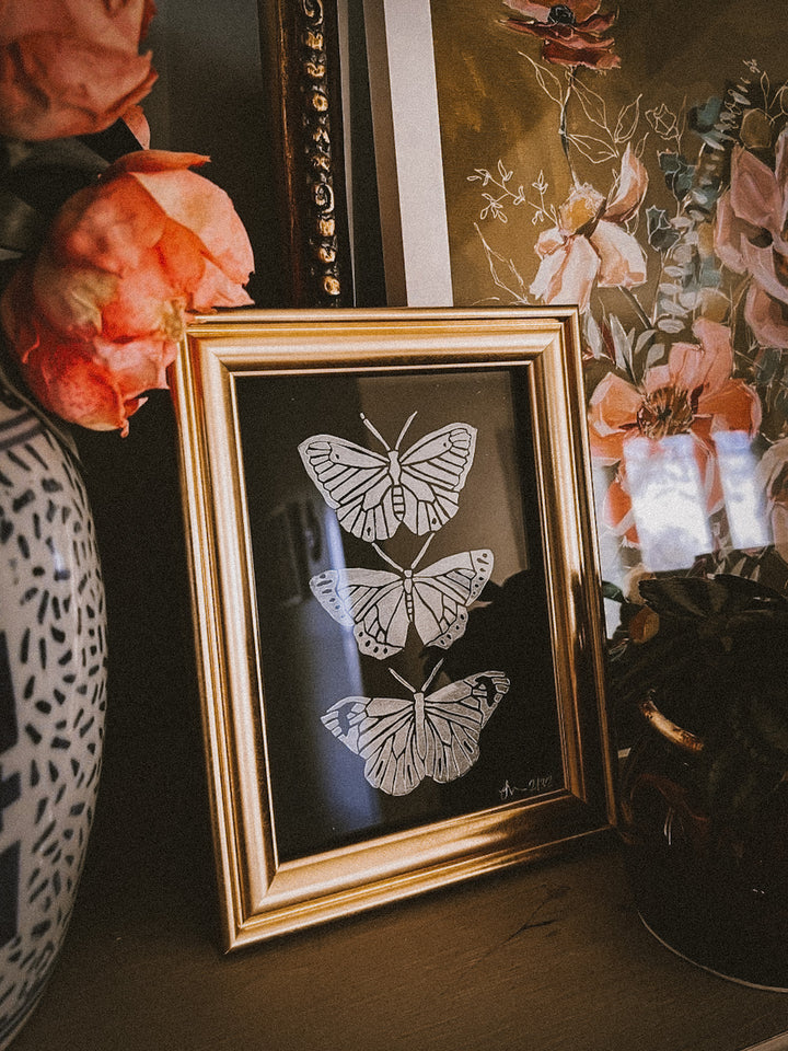 Butterfly Specimen Print