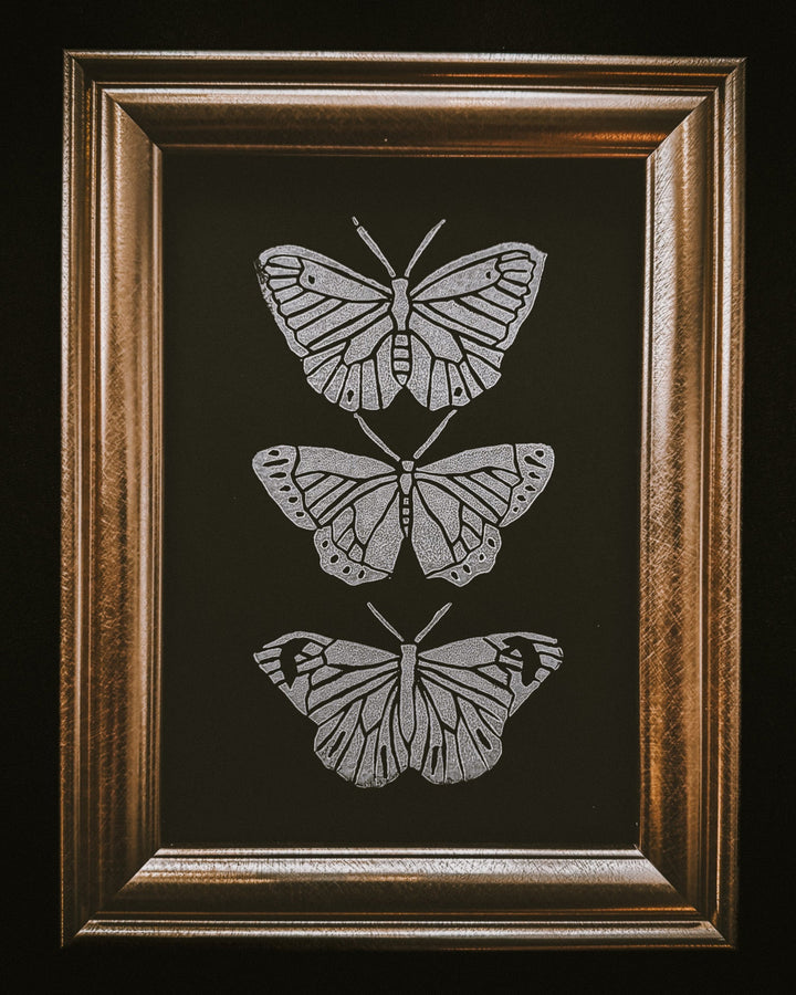 Butterfly Specimen Print